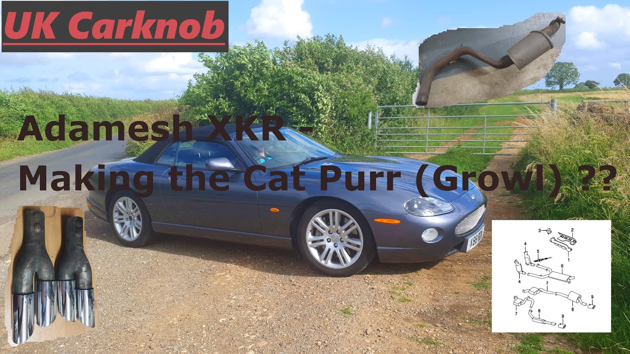 Выхлопная система XK8 &mdash; XKR заставляет кошку мурлыкать (рычать)