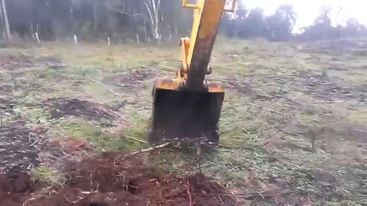 Escavadeira KOMATSU  PC 160 lc-8 destocando eucalipto