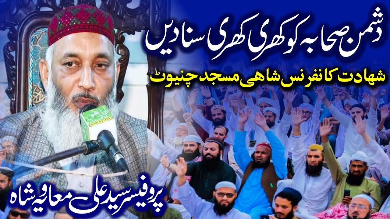 Professor Syed Ali Moavia Shah Sb _ Shahadt Conference 2023 Shahi Masjid Chiniot _ 10 Muharram