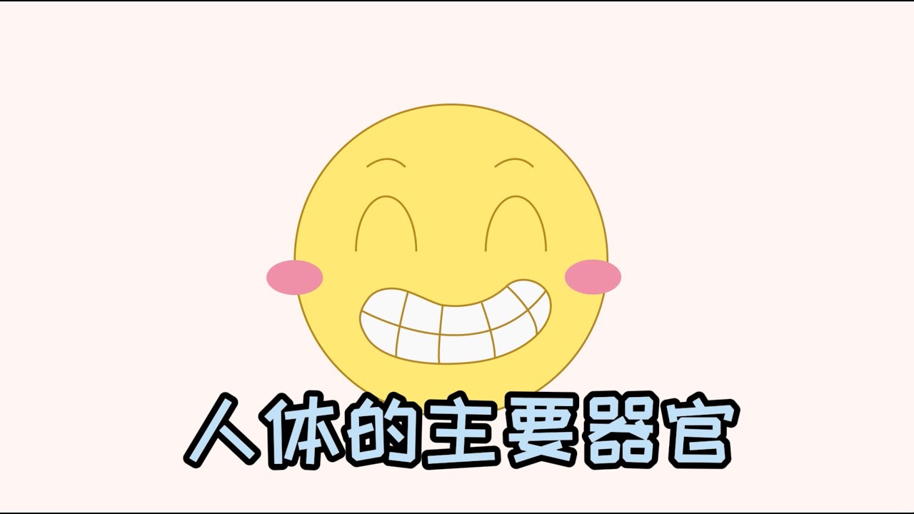 #儿童科普 人体的主要器官 #人体科普