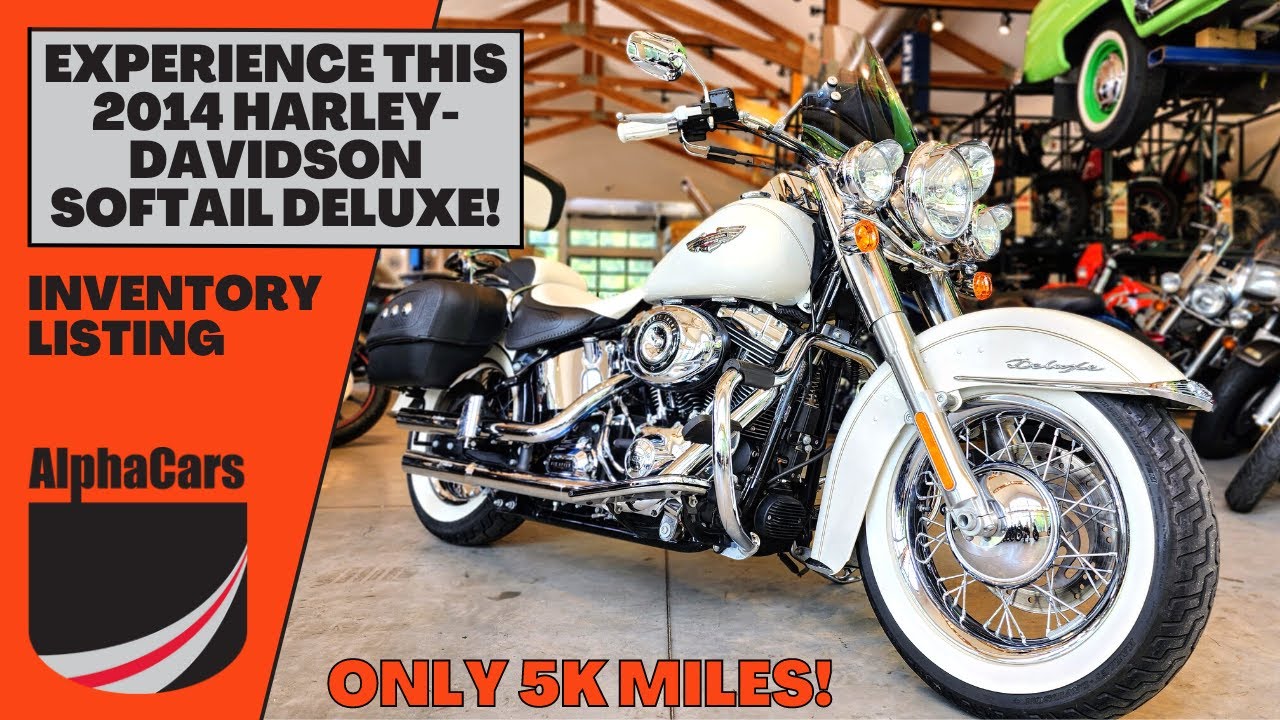 Take a Close Look at this 2014 Harley Davidson Softail Deluxe with only 5K Miles!