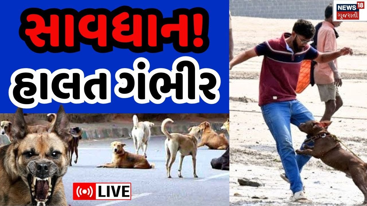 Rabies Infection Live News | રખડતાં શ્વાનથી સાવધાન! યુવકની હાલત ગંભીર | Street Dog | Bite | Top News