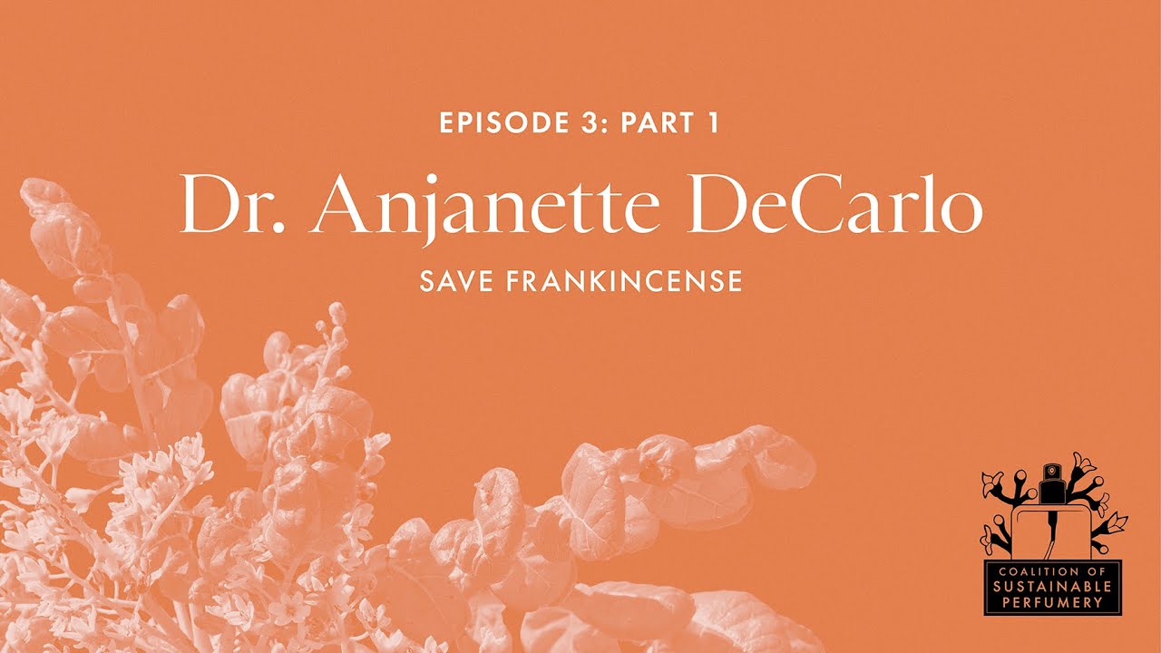 Episode 3, Part 1: Dr. Anjanette DeCarlo