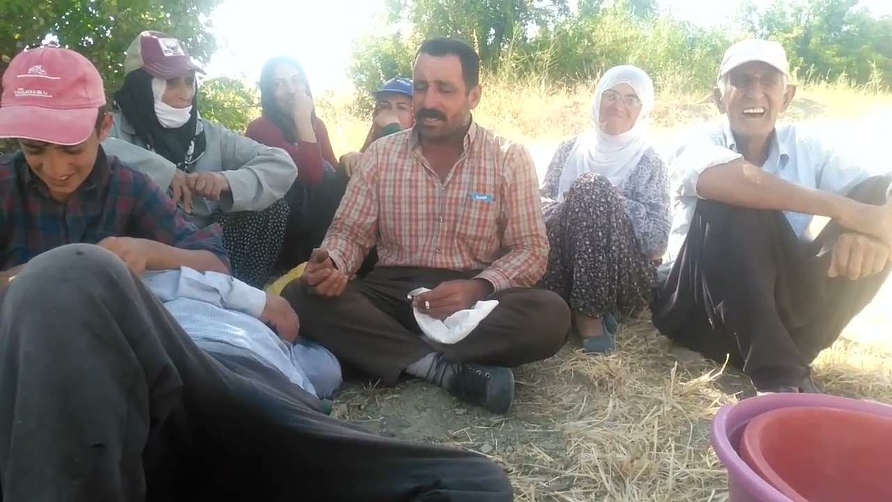 Zaza Mihik Hecî' yo Ekragij, #zazaca, #arıcak