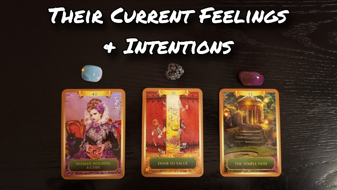 🤲💕 Their Current Feelings & Intentions 💗💕 Pick A Card Love Reading 