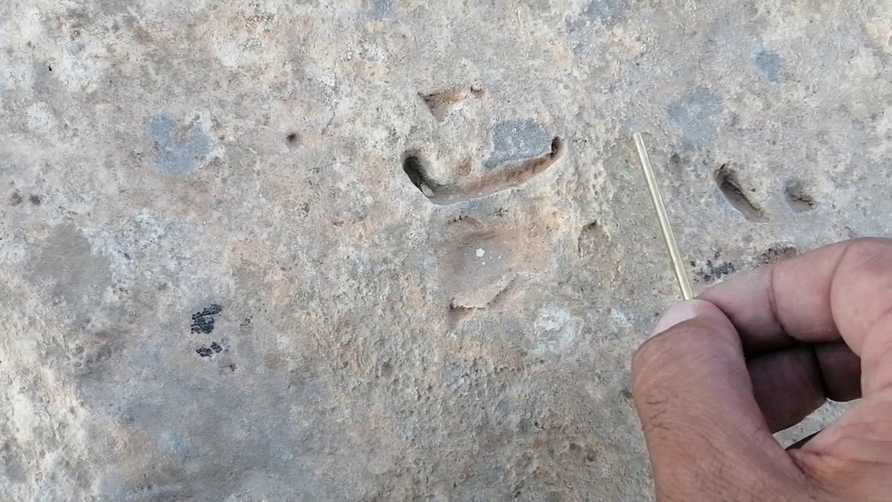 لفظ الجلالة (الله) في المعسكرات التركية هل يعني تكنيز شاهدوا الفيديو @قناص الكنوز treasures sniper