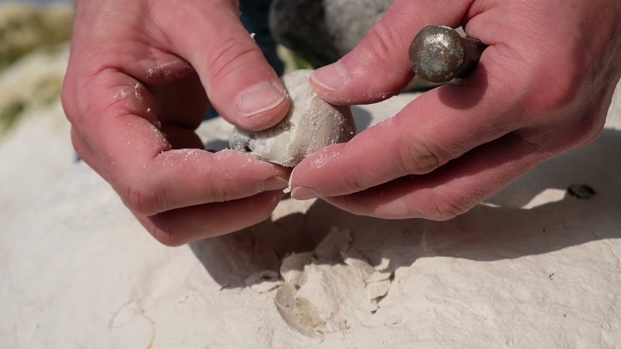 UK FOSSILS | ECHINOID HUNTING | CHISELLING FALLEN CHALK | FOSSILEYES BRIGHTON