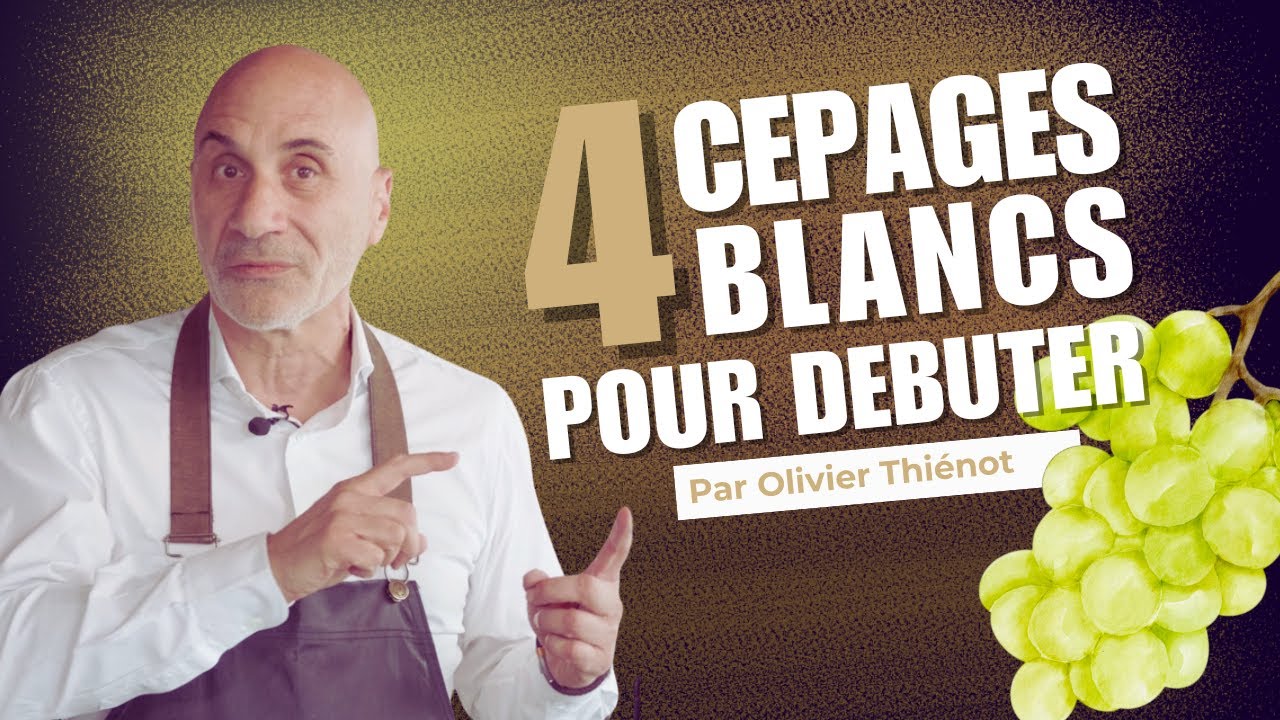 Cépages blancs : les 4 incontournables à connaître (Chardonnay, Riesling, Chenin, Sauvignon)