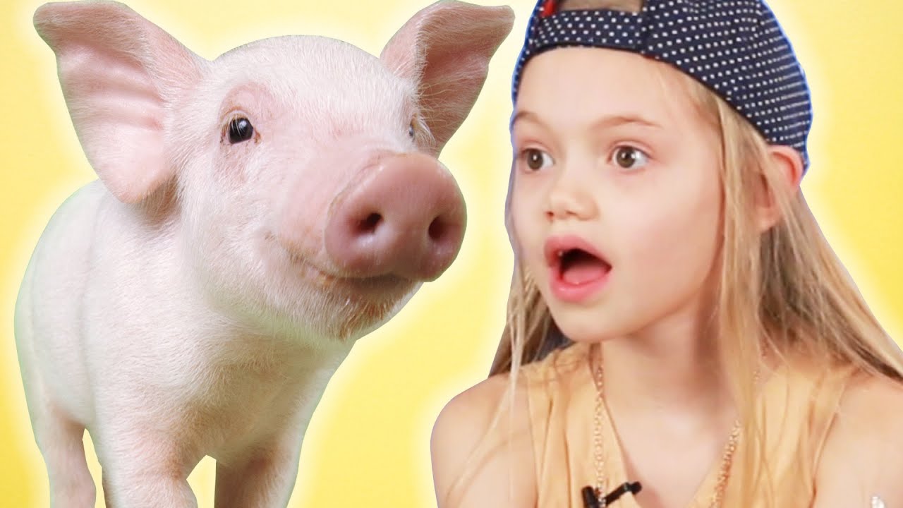 Kids Get Surprised With Mini Pigs