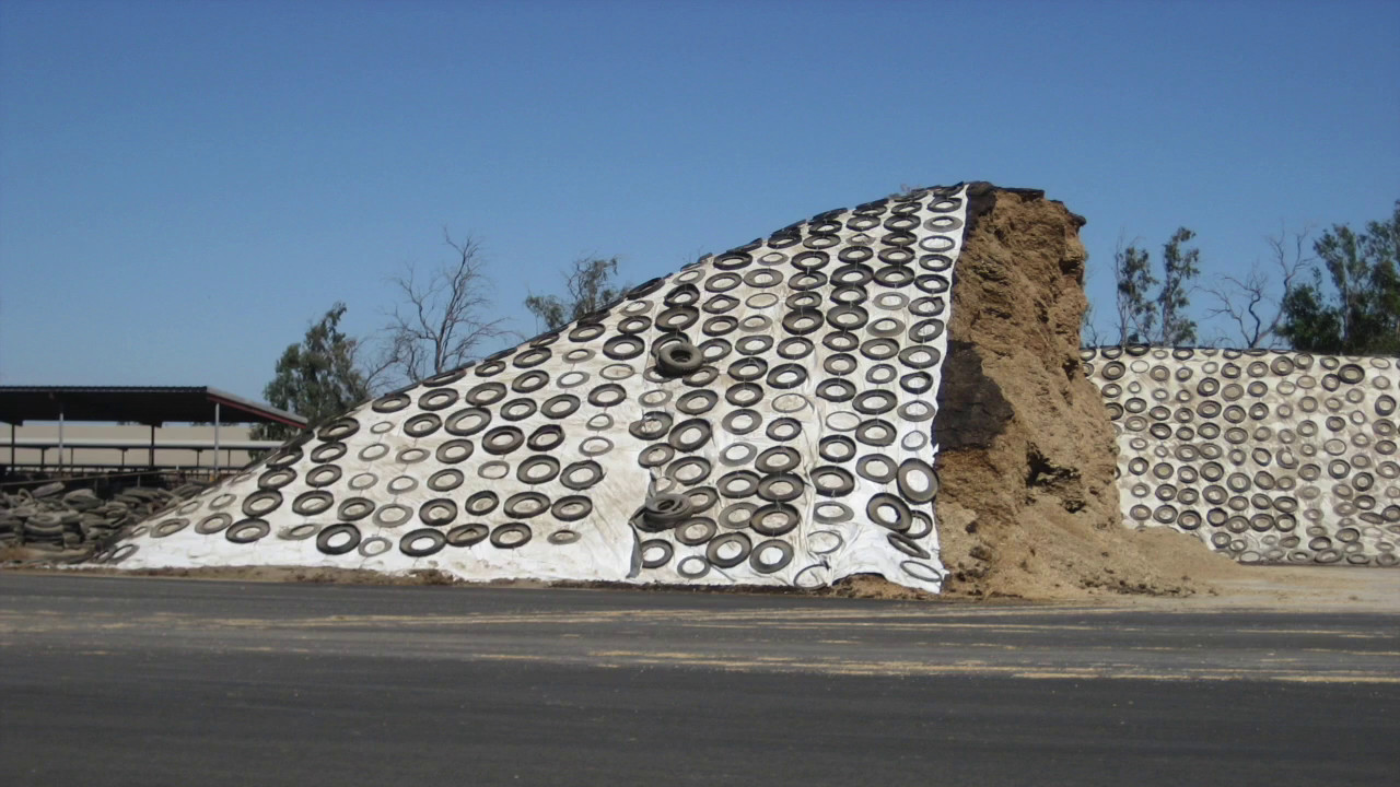 Preventing silage-related injuries and fatalities among farm workers.