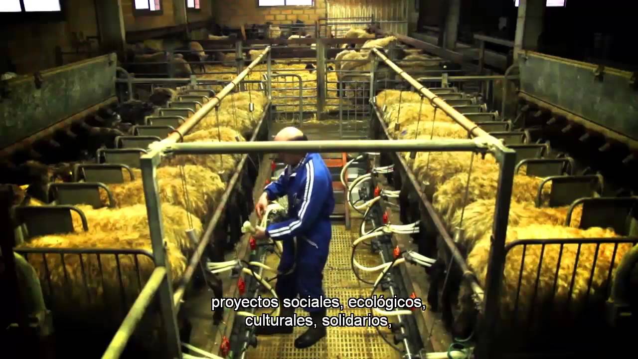 ECONOMIA SOLIDARIA