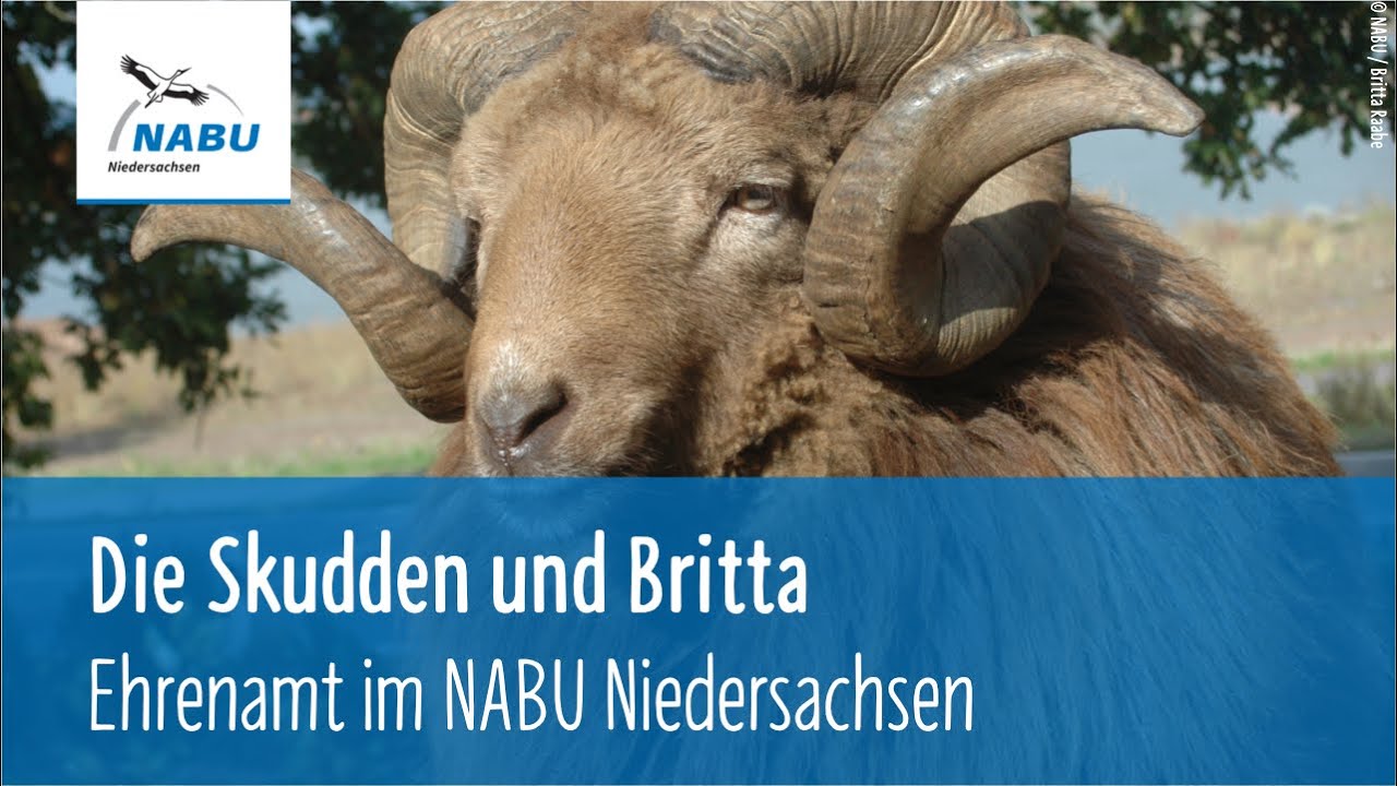 Die Skudden und Britta / Ehrenamt im NABU Niedersachsen