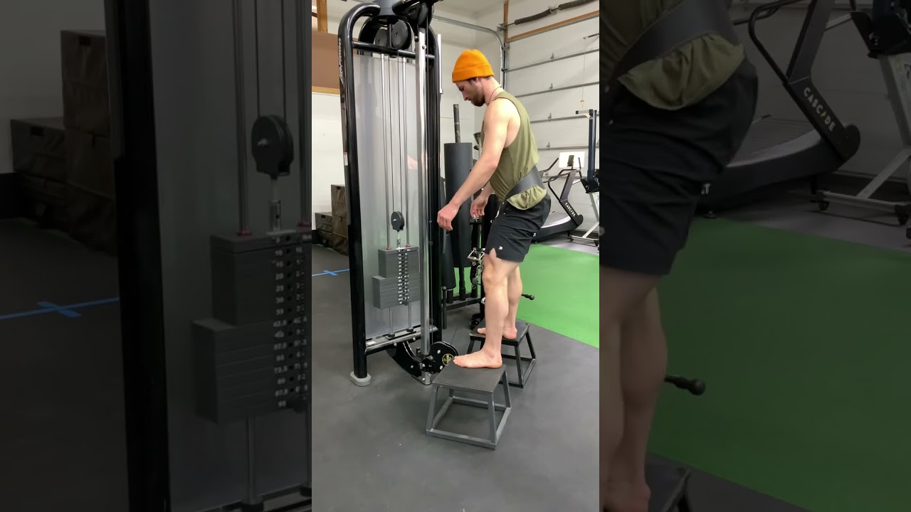 Cable Belt Squat