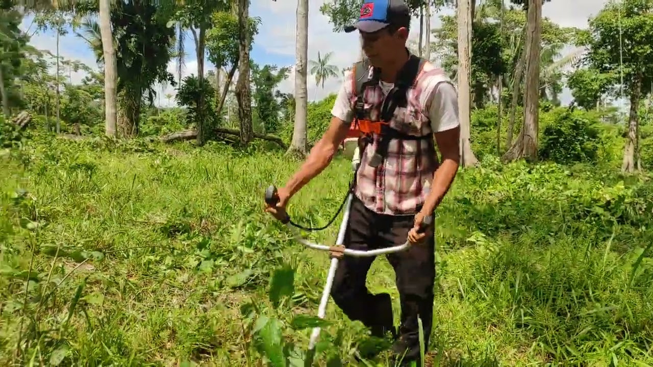 ro&ccedil;ando juquira com a ro&ccedil;adeira 160 Stihl