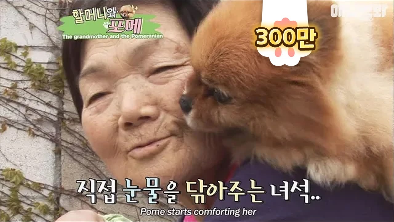 Грустная причина, по которой бабушка всегда ездит на собачьих упряжках ...