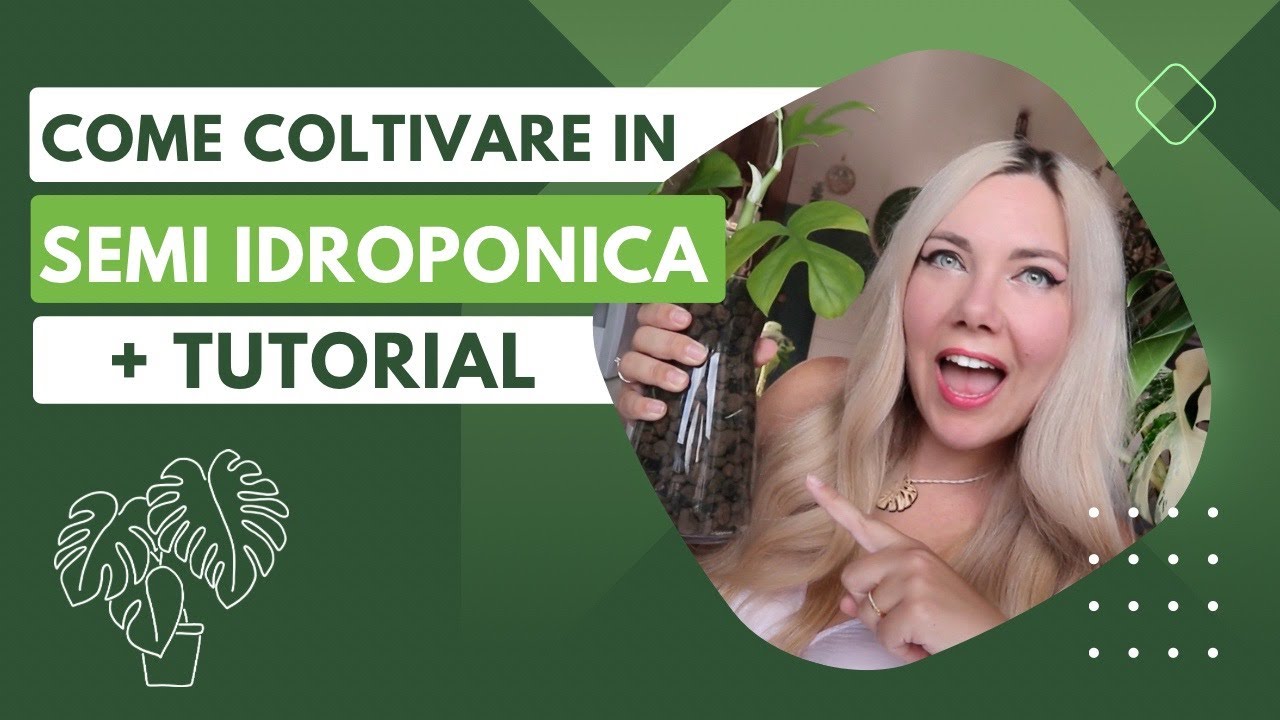 Coltivare in semi idroponica + tutorial