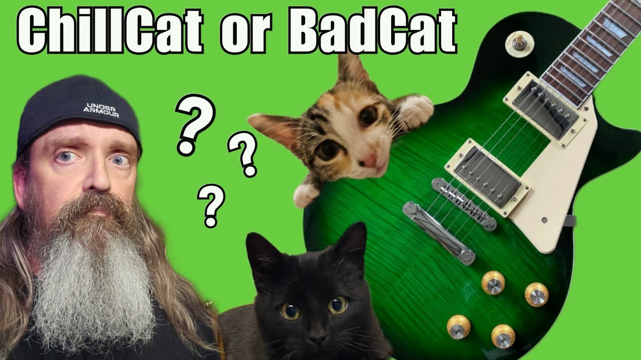 Эта гитара Les Paul от ChillCat &ndash; просто бомба, или нет?