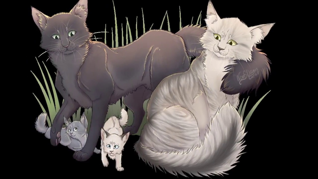 LGDC- La dure vie d'étoile bleu