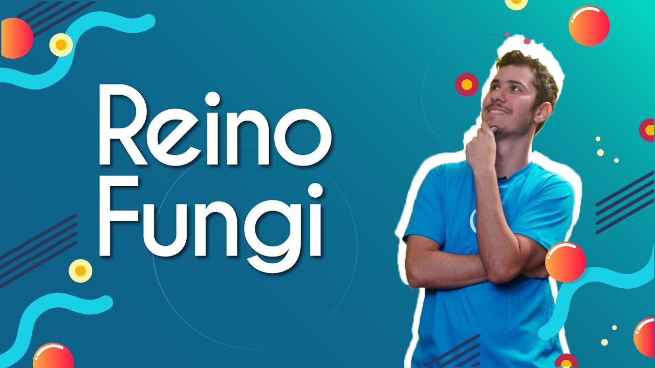 Reino Fungi - Brasil Escola