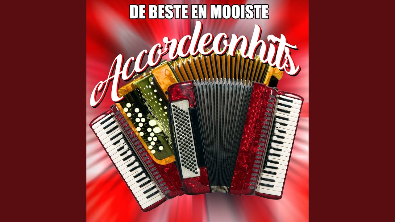 Rood Zijn De Rozen
