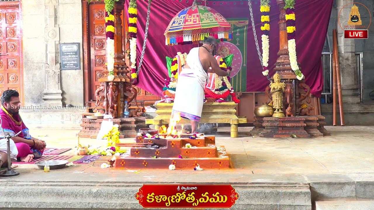 శ్రీ స్వామివారి నిత్య కళ్యాణం|  kalyanostavam | Paroksha Seva on 01-02-2026 |#Srikanipakadevasthanam