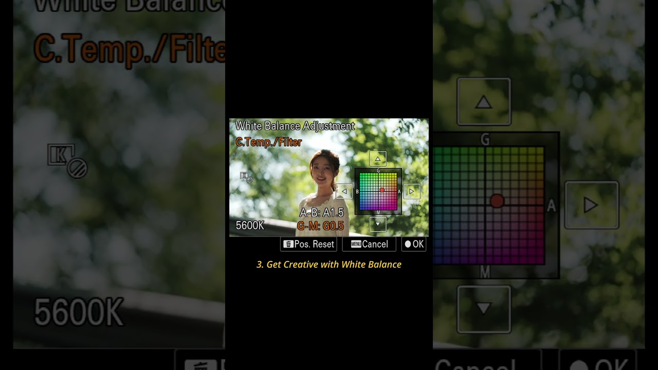 Alpha 7C II | Define Your Style with Customised Creative Look Presets