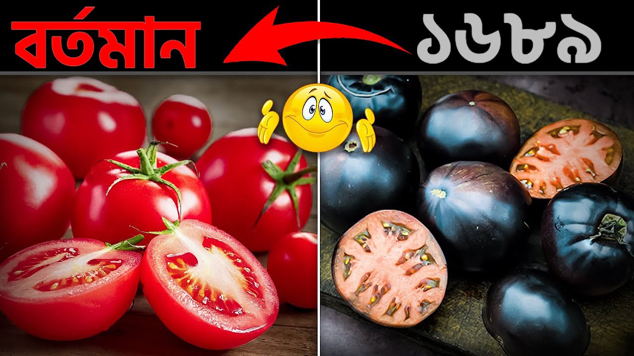 আমাদের অতি পরিচিত এই খাবারগুলো দেখতে আসলে অন্যরকম ছিলো