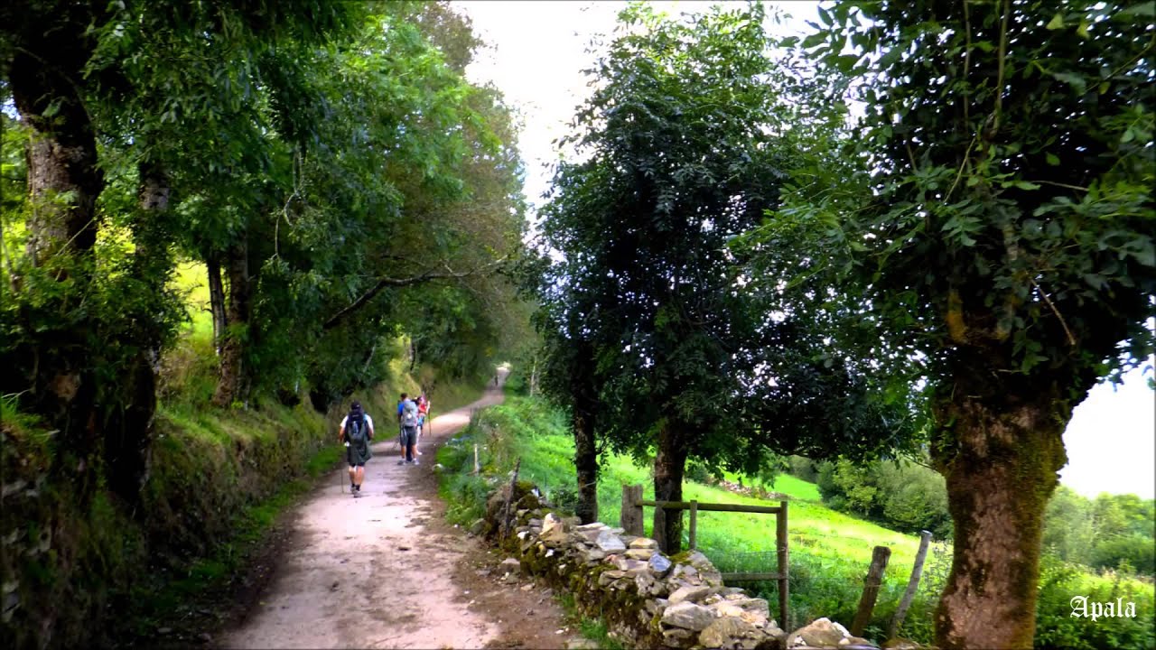 Camino de Santiago (26-O Cebreiro / Triacastela) 20,6 Km.