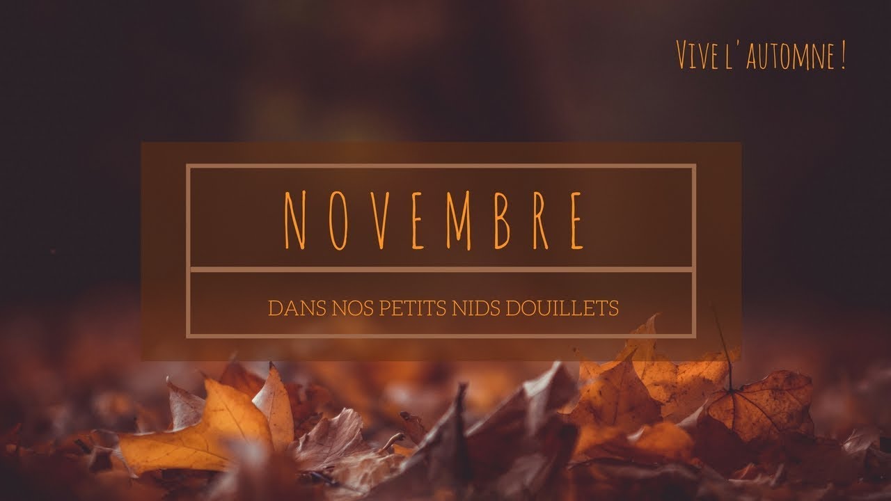 Les essentiels du parfait cocooning de novembre