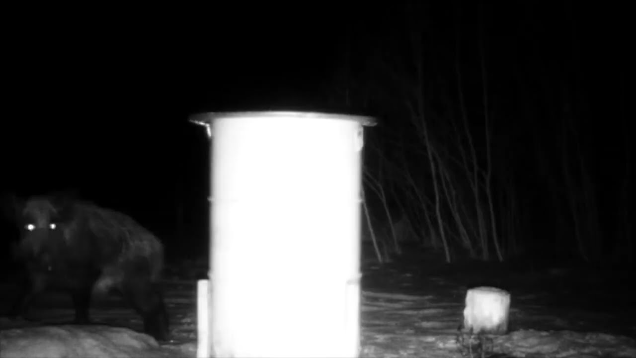 Kamerų bandymas. Nedidelis, fotografuoja ir siunčia: BG710-M 4G