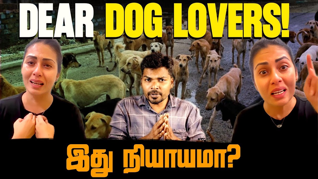 Dear Dog Lovers! இது நியாயமா? | Stray Dog issue | Youturn