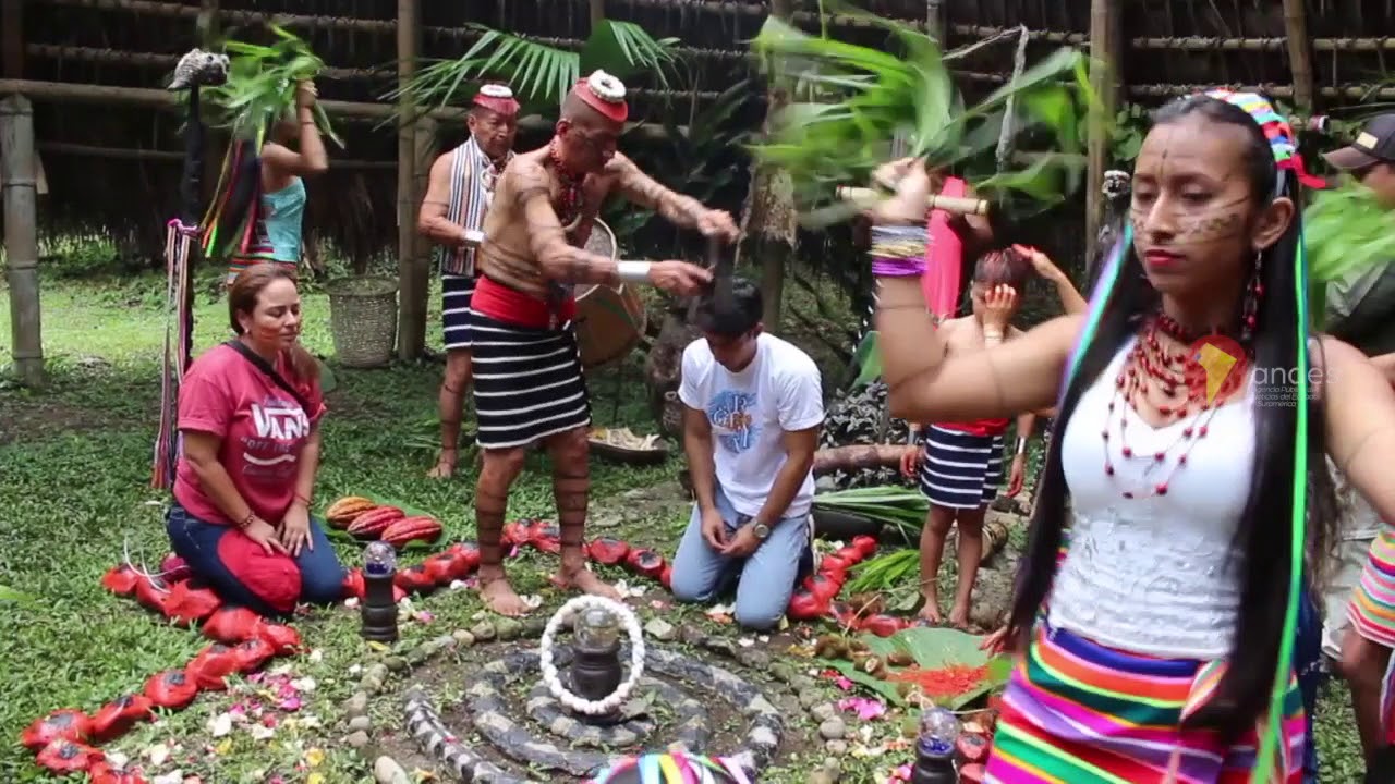 Ritual de limpia de energías de la comunidad Tsáchila Chiguilpe
