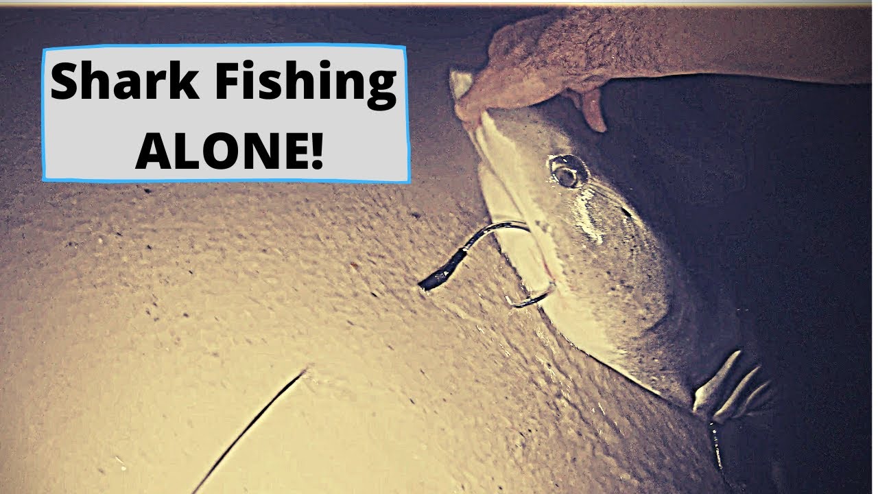 SOLO Shark Fishing -- Pensacola, Florida