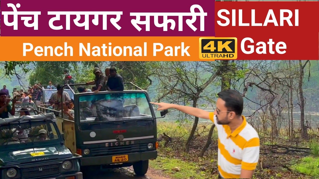 Pench Tiger Reserve |  Sillari Gate | Jungle Safari | पेंच नॅशनल पार्क | Summer मध्ये मान्सून सफारी