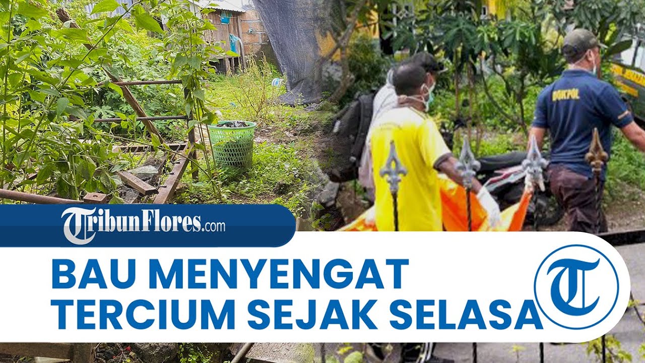 Saksi Ungkap Awal Penemuan Mayat Pria di Bakunase, Bau Menyengat Tercium Sejak Selasa