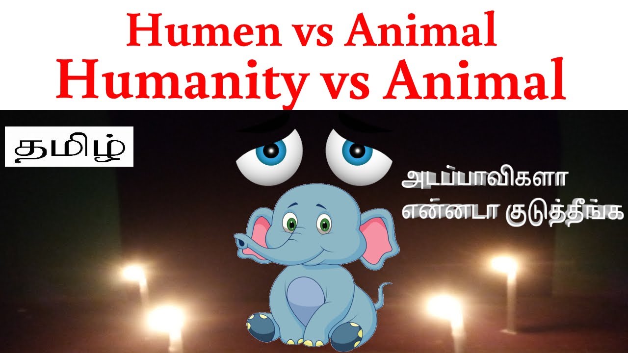 Humen vs animal in tamil///kerala elephant death in tamil///Tension