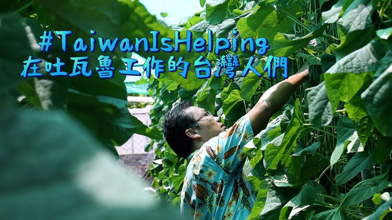 【鏡食旅】＃TaiwanIsHelping　在吐瓦魯工作的台灣人們｜鏡週刊