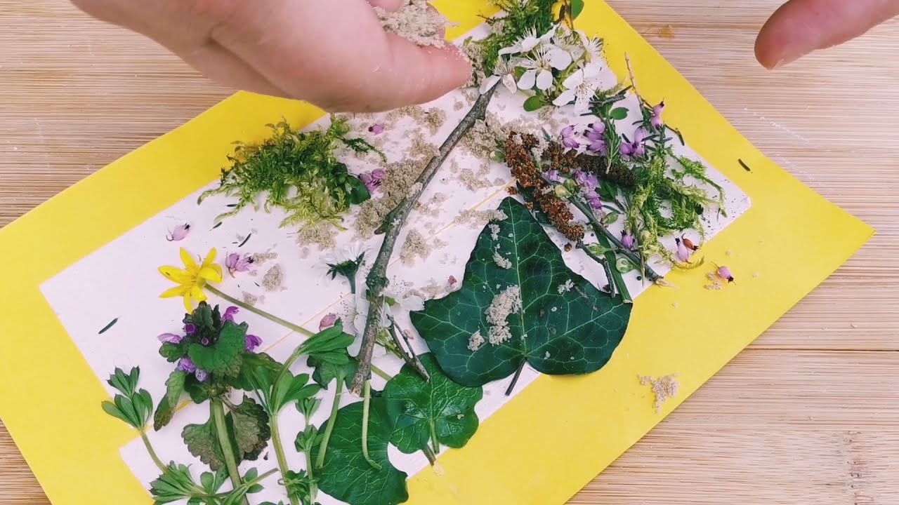 Activit&eacute; nature - Tableau de la nature
