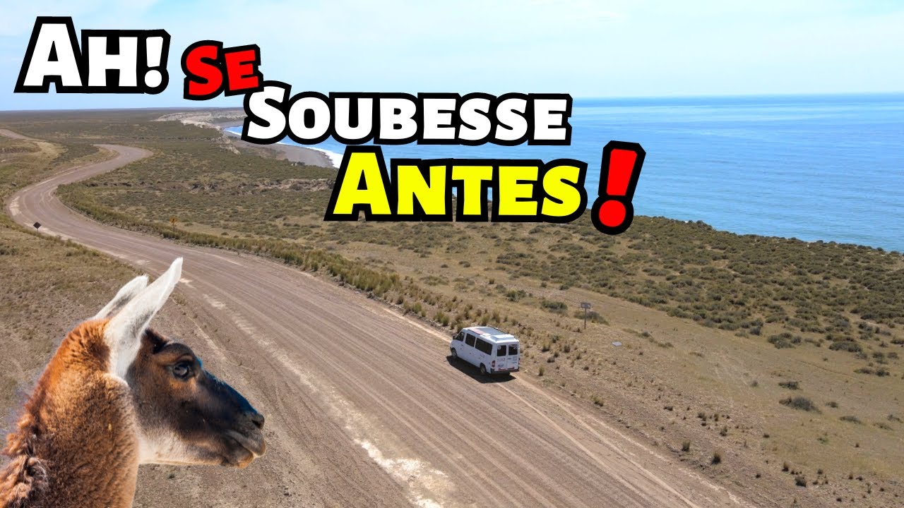 PENÍNSULA VALDÉS - Vale A Pena Colocar no Roteiro? [Ep. 17]