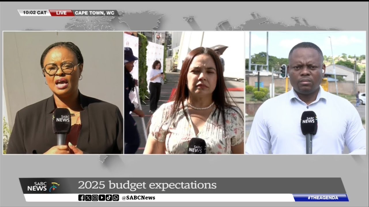 2025 Budget Speech | How will government reduce the cost of electricity: Cruise
