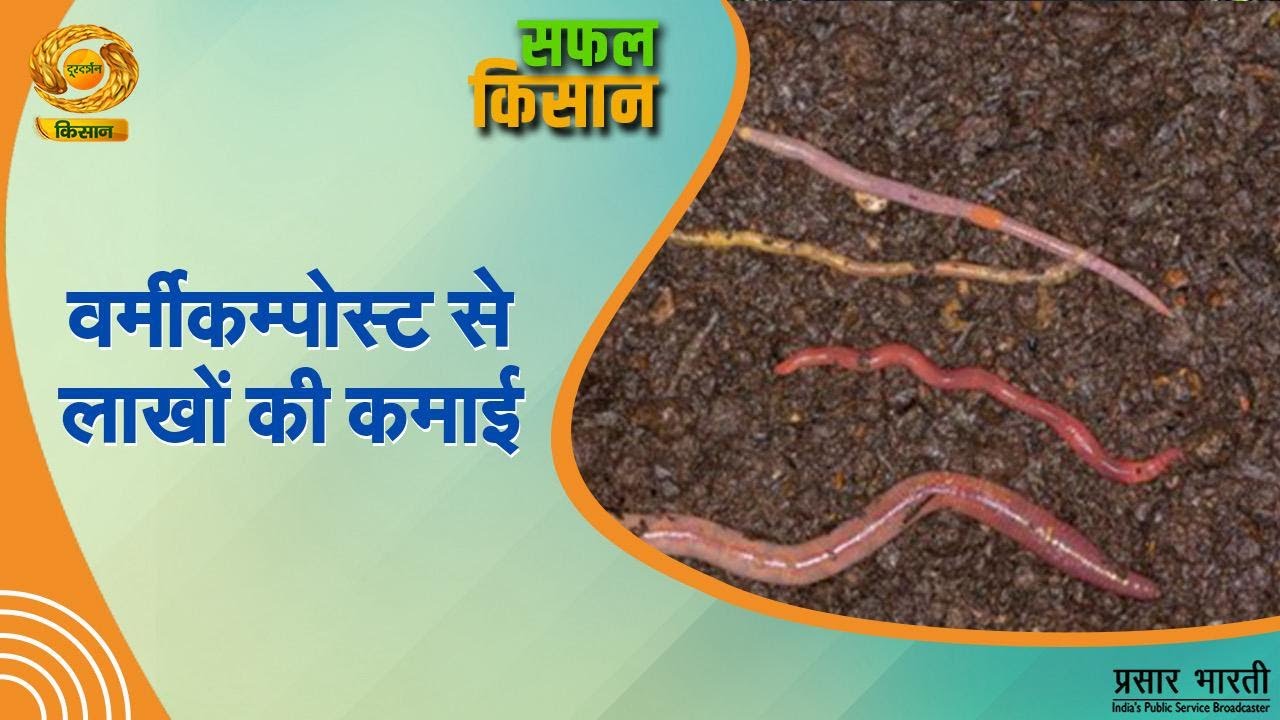 Safal Kisan | सफल किसान- वर्मीकम्पोस्ट से लाखों की कमाई | DD Kisan | 29/01/2026