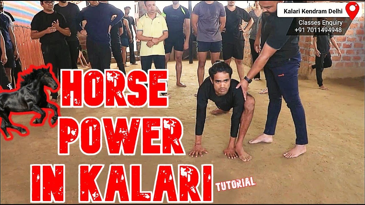 Live class explanation : Attain agility of a Horse