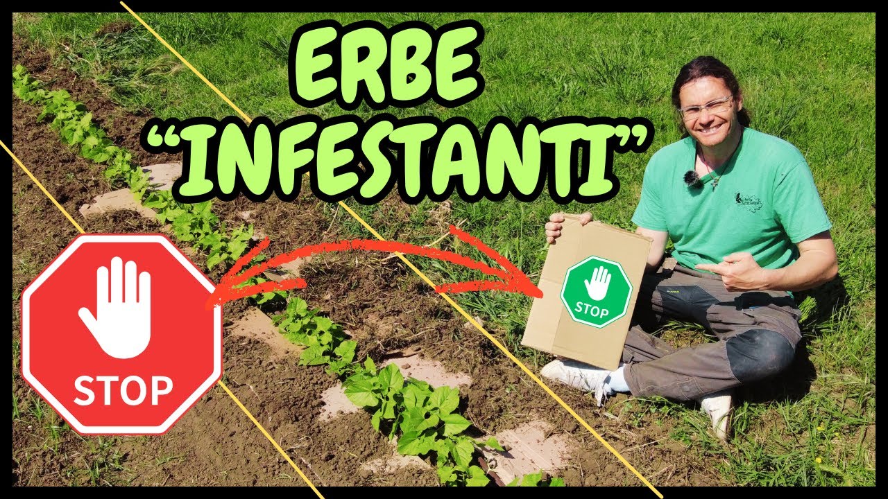 Come ELIMINARE le ERBE INFESTANTI con il CARTONE | Tutorial Agricoltura e Giardinaggio