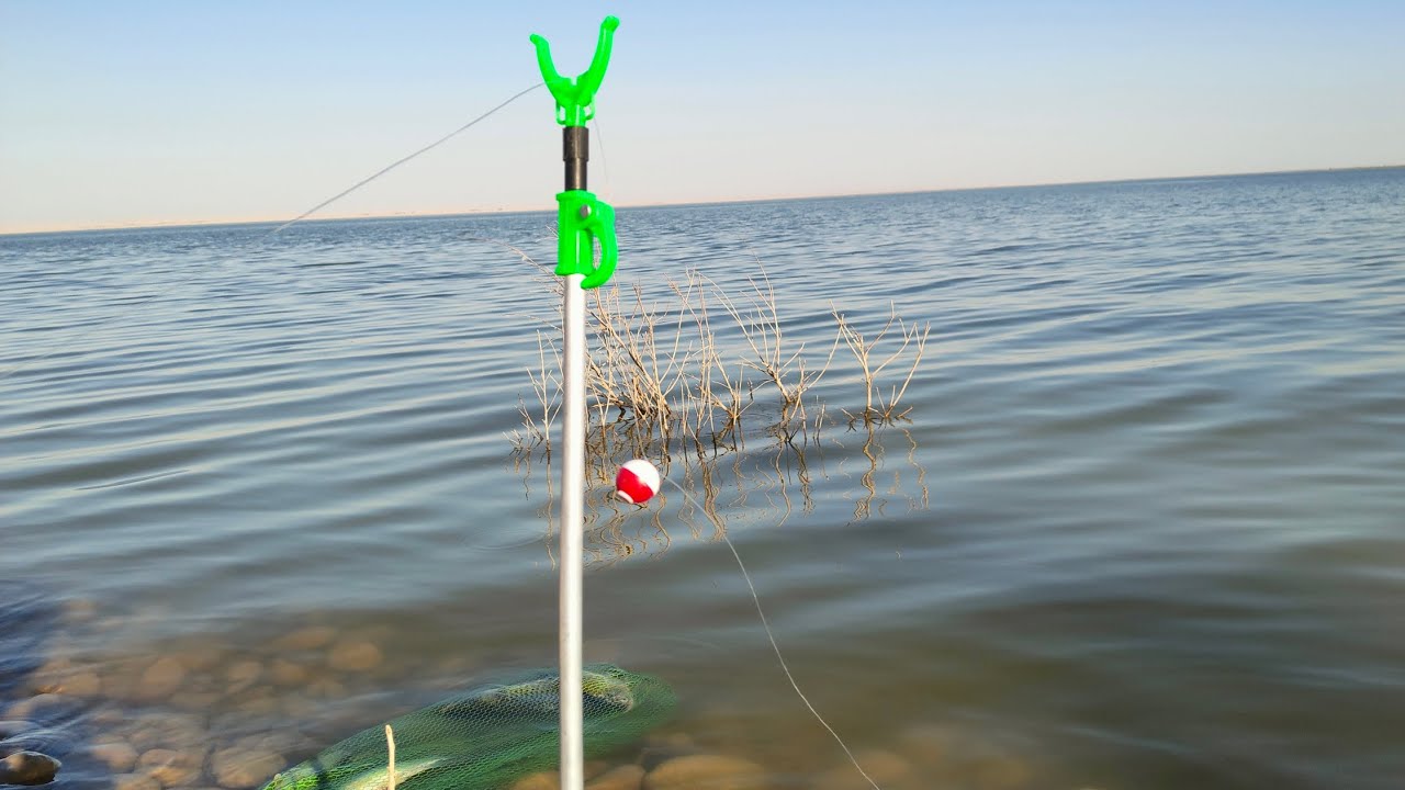 رحلة بحيرة حمرين والصيد خير من الله كمل الفيديو وشوف المتعة 🐟🎣🐬