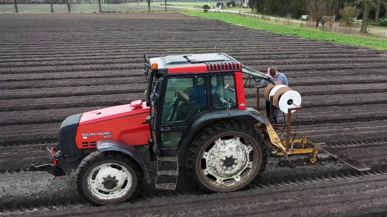 Een schone teelt op basis van Dripirrigatie