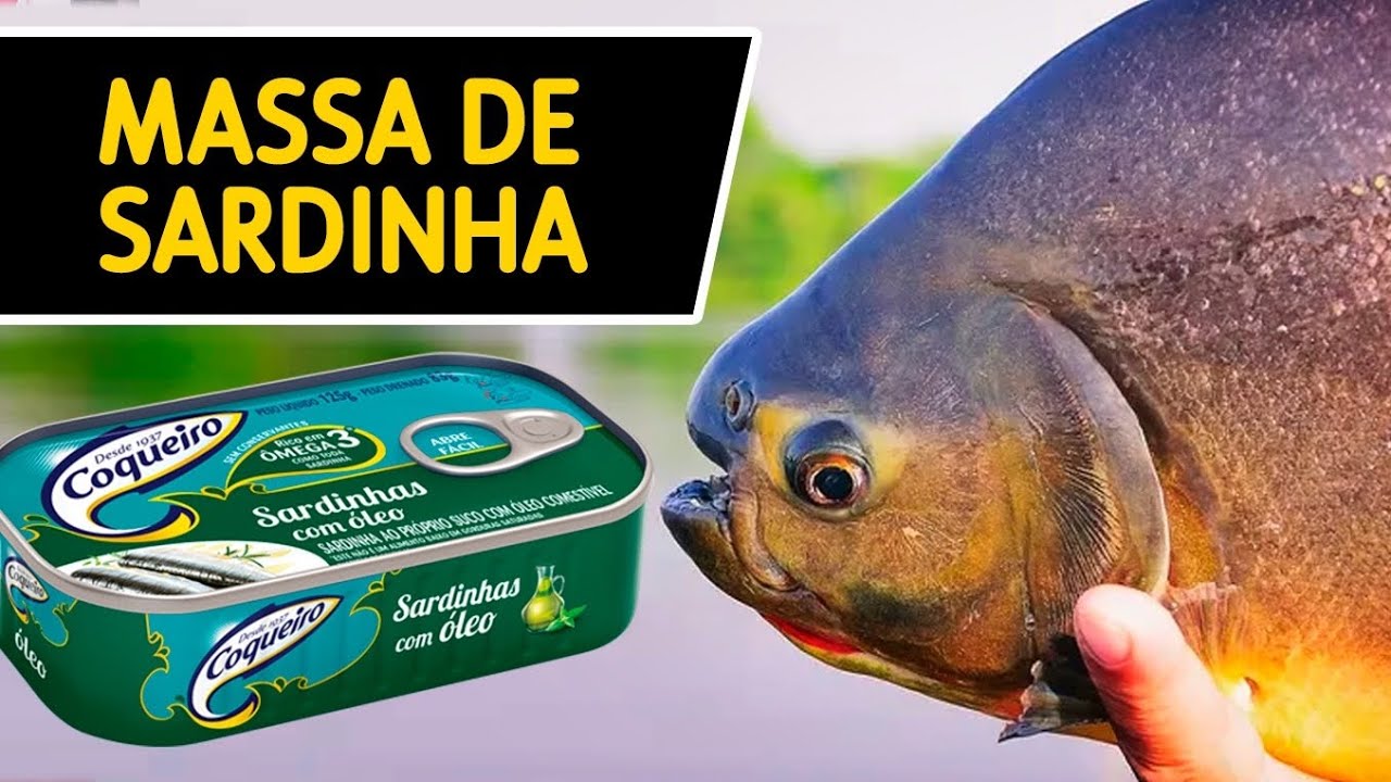 Massa de Sardinha para Pescar. Pega peixe até no Frio! #dicasdepesca