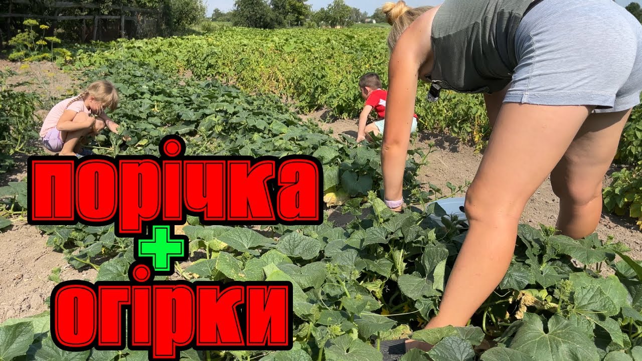 Зібрали — зварили — закрутили! Інна показує СВІЙ фірмовий рецепт 🔥