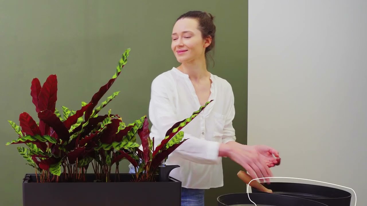 Artevasi how-to-do: Rimini plant box