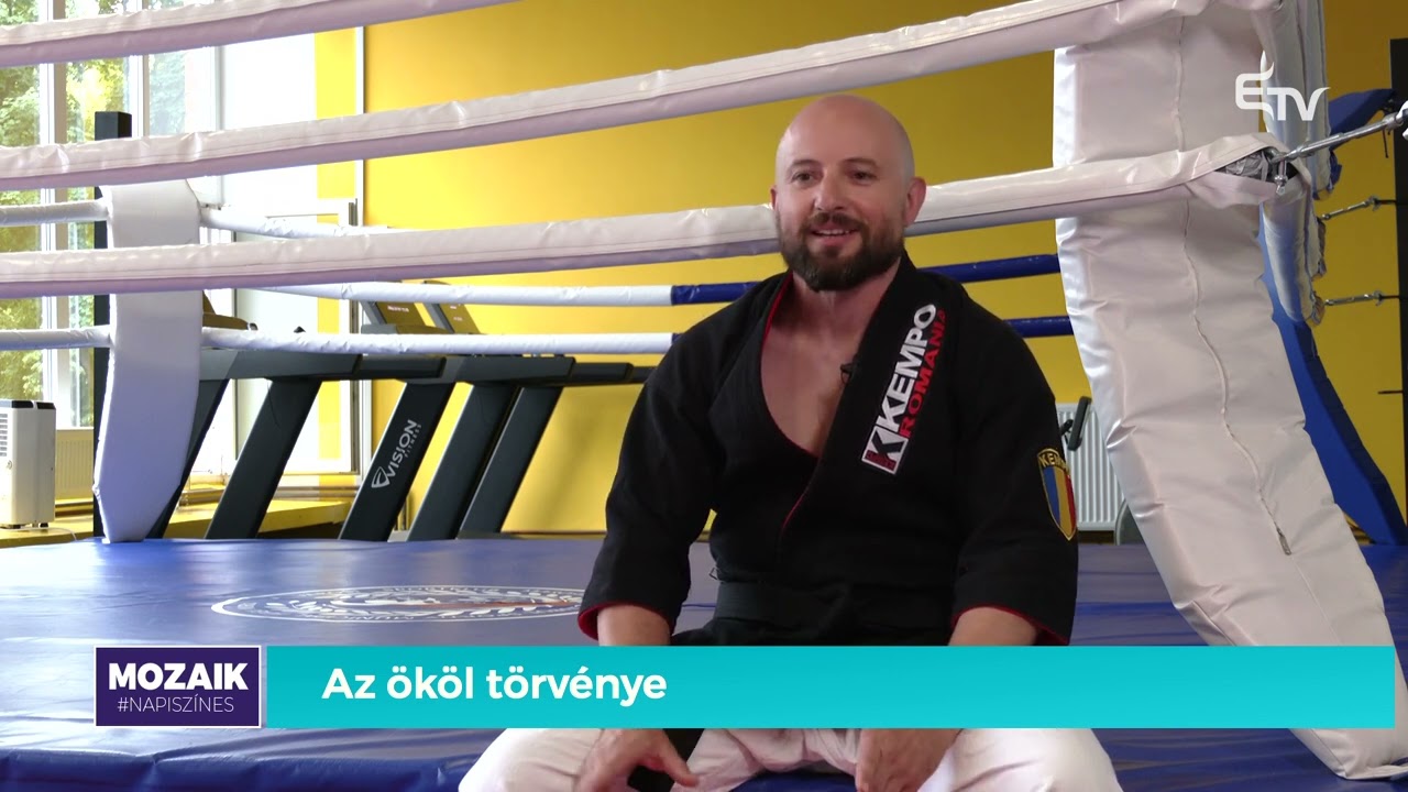 A kempo, az ököl törvénye – Mozaik