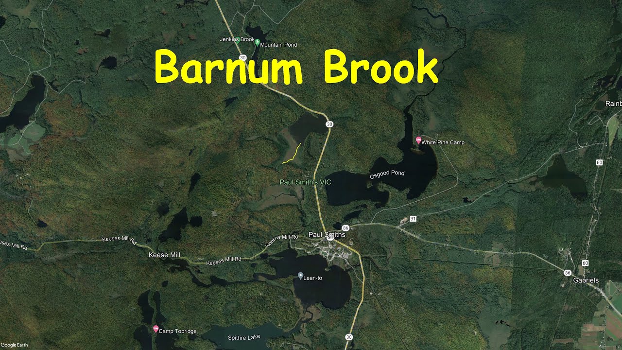 Barnum Brook